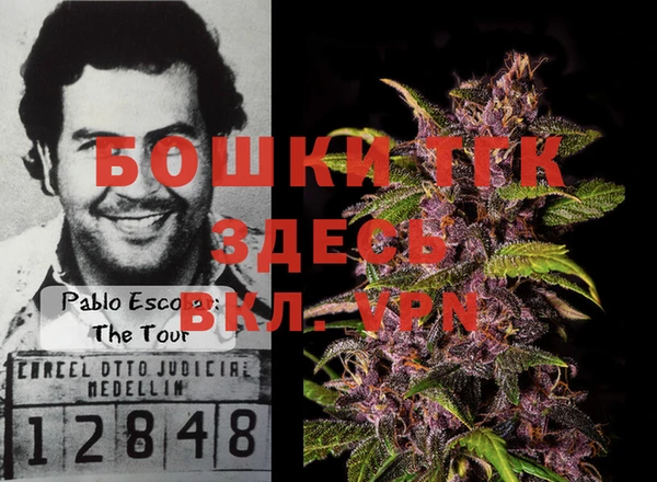 крисы Майский