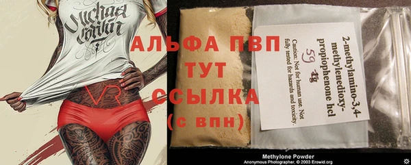 крисы Майский