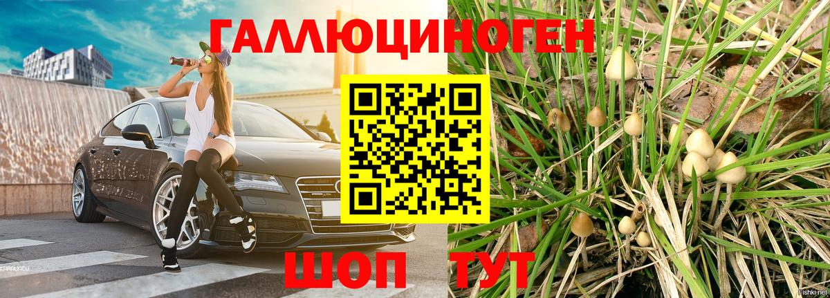 Галлюциногенные грибы GOLDEN TEACHER Челябинск
