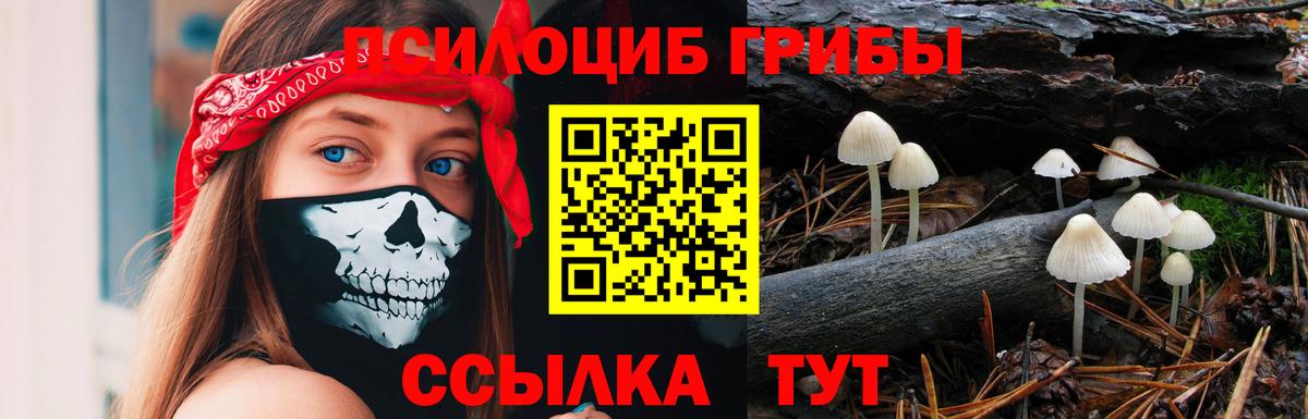 Псилоцибиновые грибы мицелий  Челябинск 