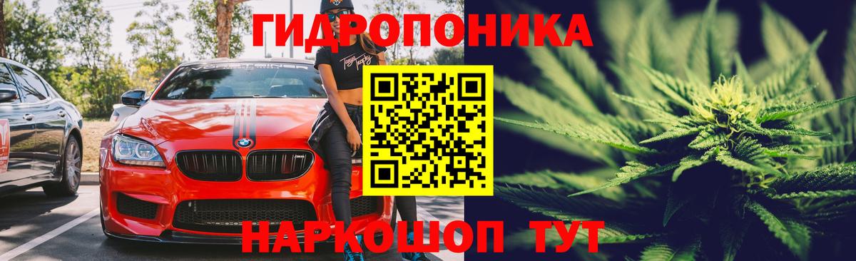 МАРИХУАНА OG Kush  Конопля планчик  Челябинск  Канабис гибрид 